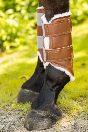 Euro Pro Askan Hind Boots