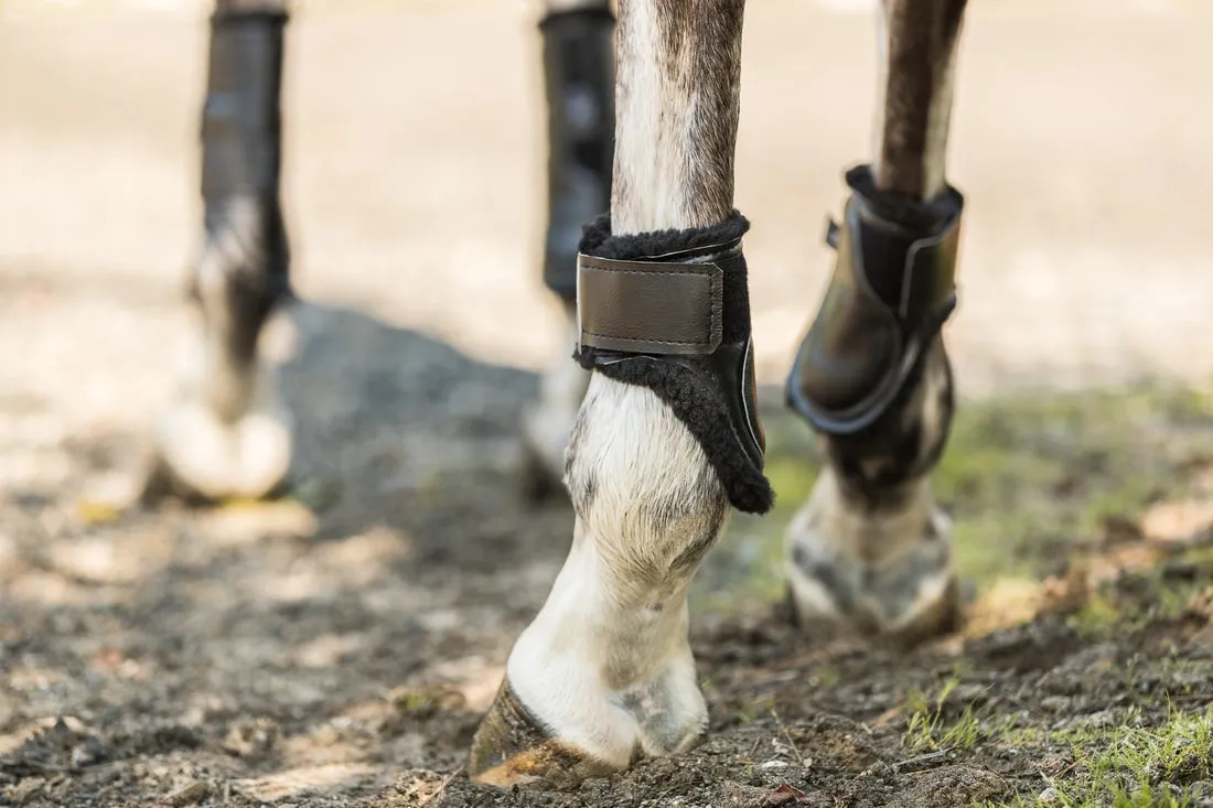 Euro Pro Thor Ankle Boots