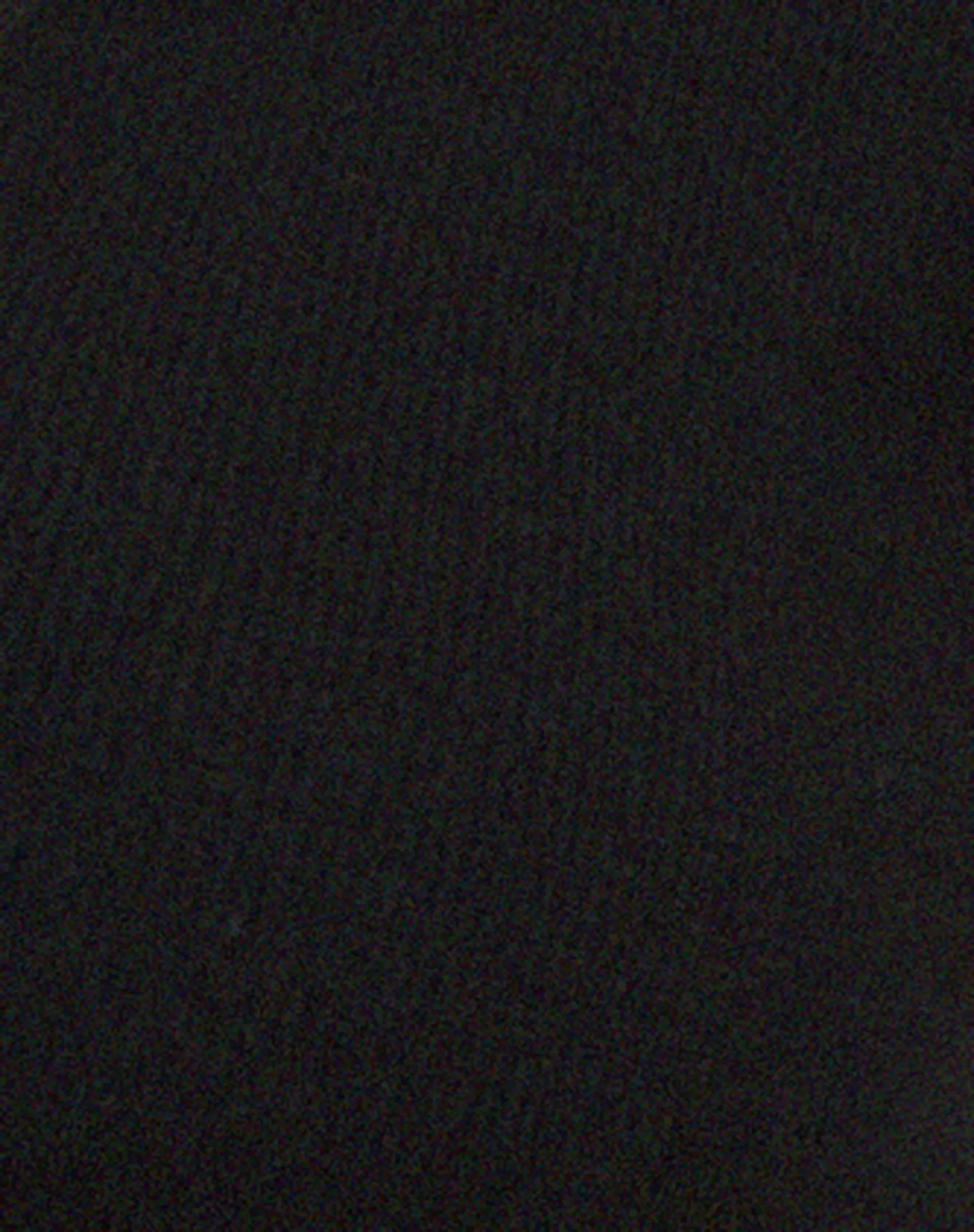 Guanna Crop Top in Black